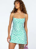 Celena Mini Dress Green Floral