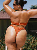 Janea Bikini Bottoms Rust Curve