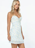 Emilee Mini Dress Blue Floral