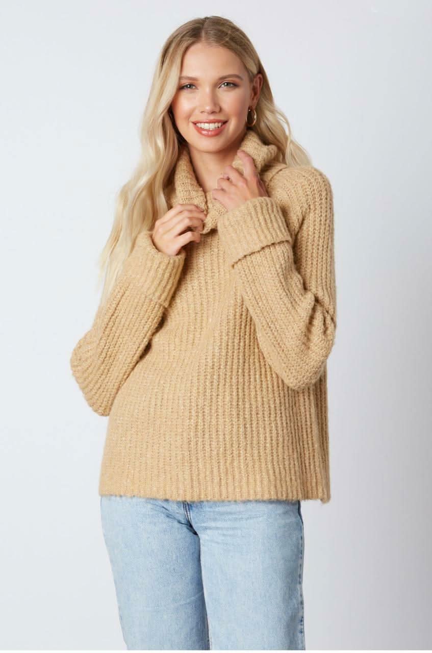 Jane Tan Chunky Turtleneck Sweater