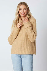Jane Tan Chunky Turtleneck Sweater