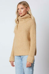 Jane Tan Chunky Turtleneck Sweater