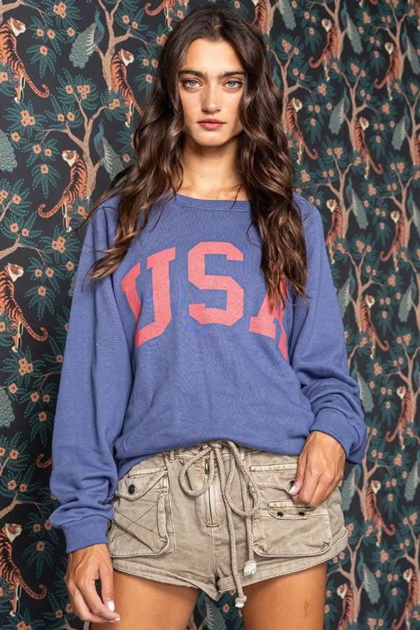 Team USA Navy Graphic Sweatshirt