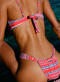 Amplitude Bikini Top Pink / Blue Stripe