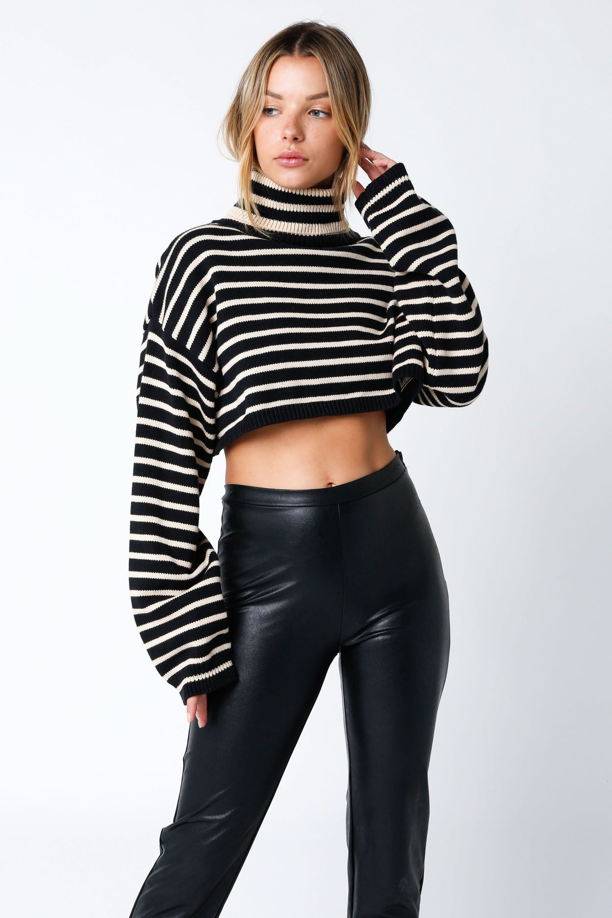 Marla Black Natural Striped Cropped Turtleneck Sweater