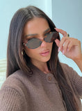 Timely Sunglasses Brown Tort