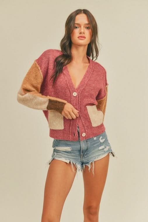 Joe Berry and Camel Colorblock Cardigan