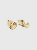 Brinly Earrings Gold