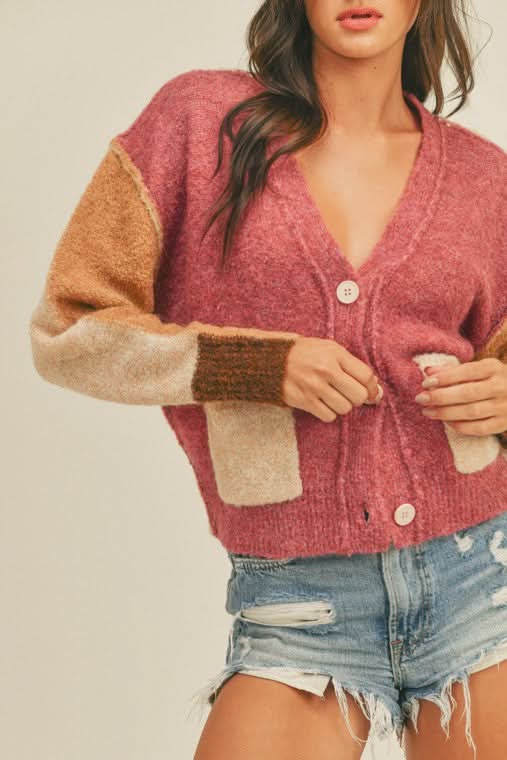 Joe Berry and Camel Colorblock Cardigan