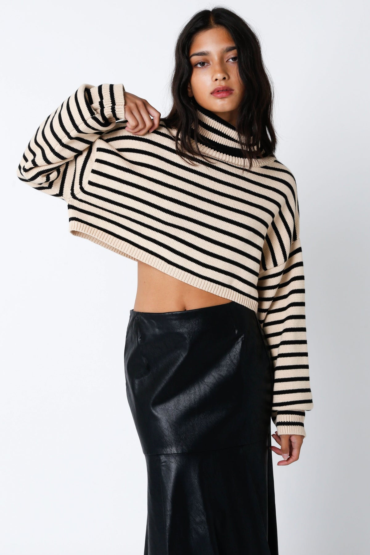 Marla Natural Black Striped Cropped Turtleneck Sweater