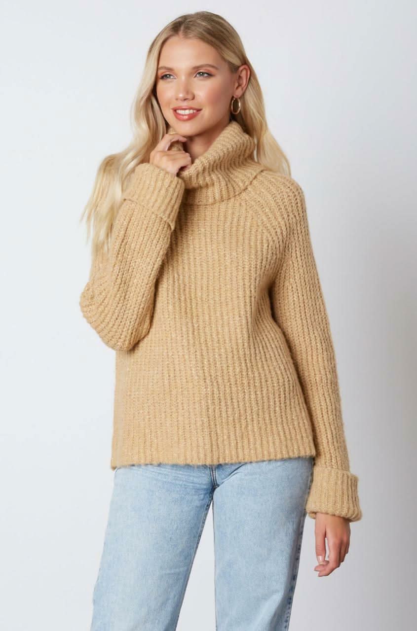 Jane Tan Chunky Turtleneck Sweater